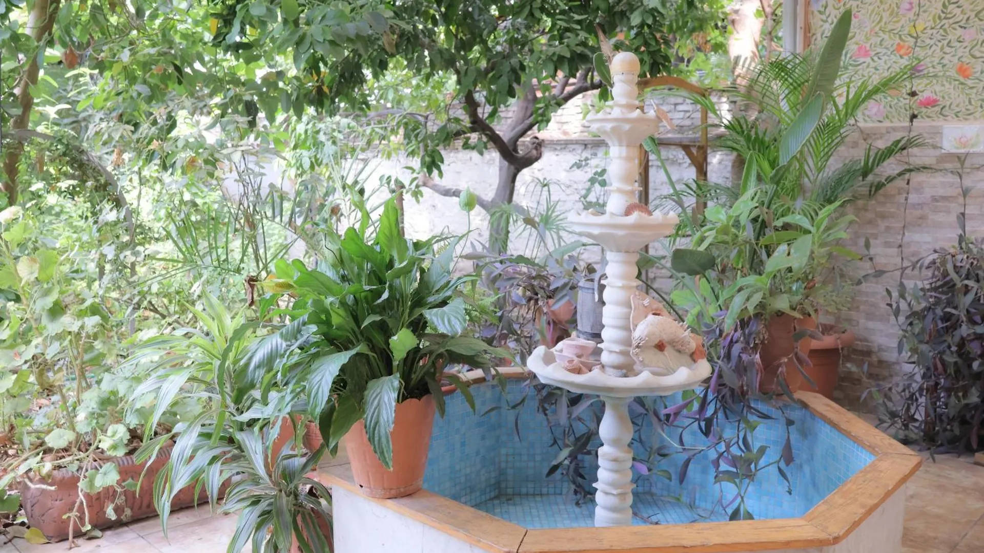 Lotus Garden Hostel Измир Турция
