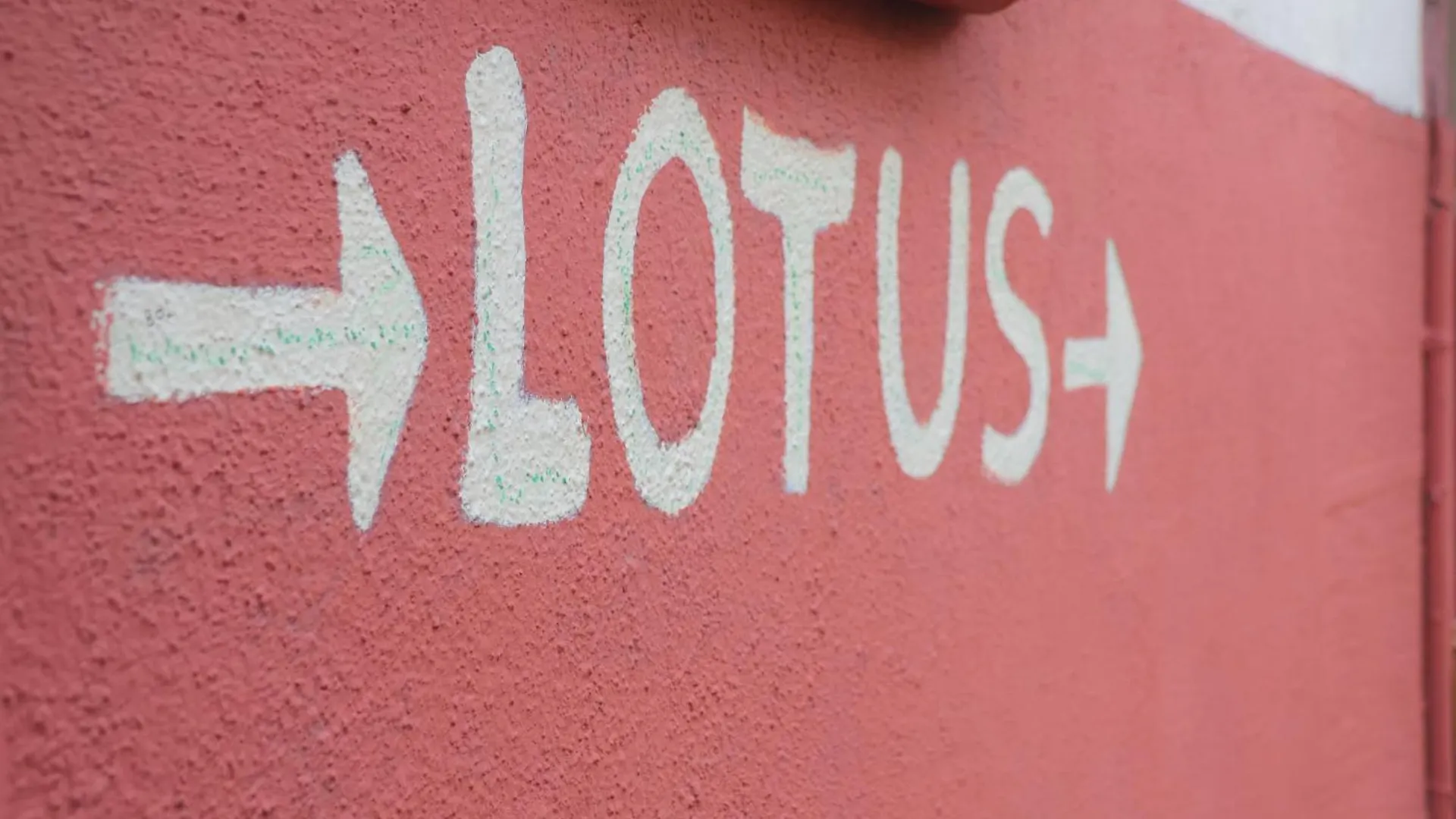 Lotus Garden Hostel Измир Турция